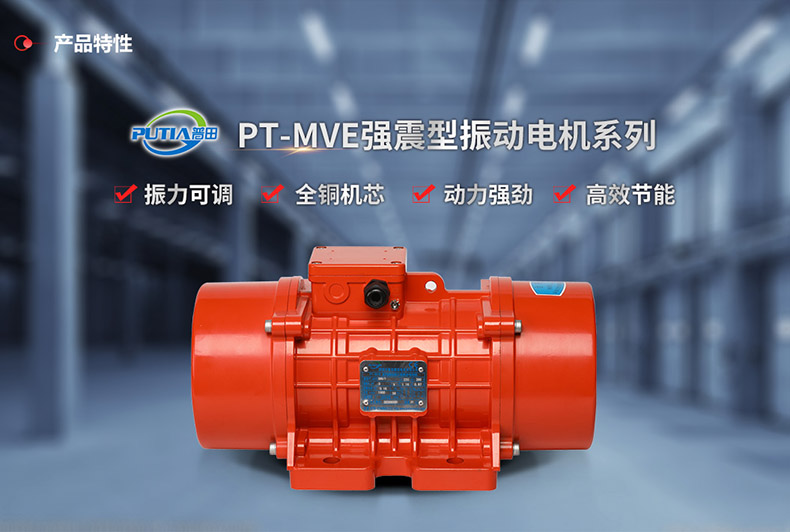 三相異步振動電機(jī) 三相異步振動電機(jī)